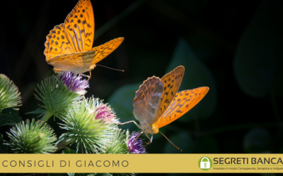 Il Golden Butterfly Portfolio per l’investitore europeo